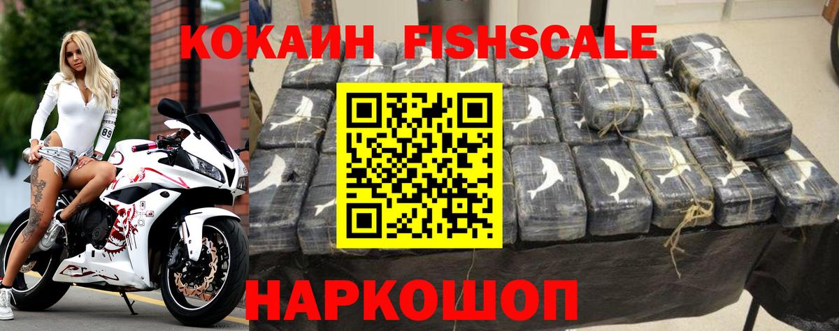Камышин  Кокаин FishScale  где купить наркоту  Cocaine Fish Scale  Вход с VPN  COCAIN 