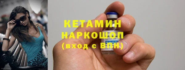 сатива Новодвинск