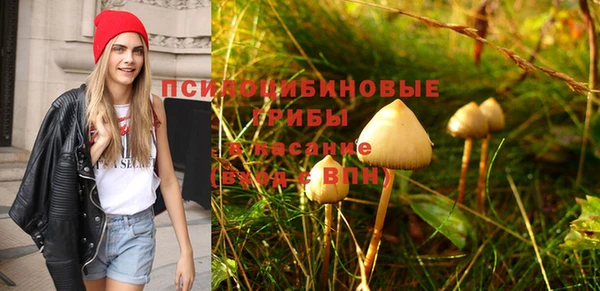 эйфоретик Алексеевка
