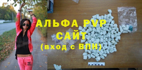 сатива Новодвинск