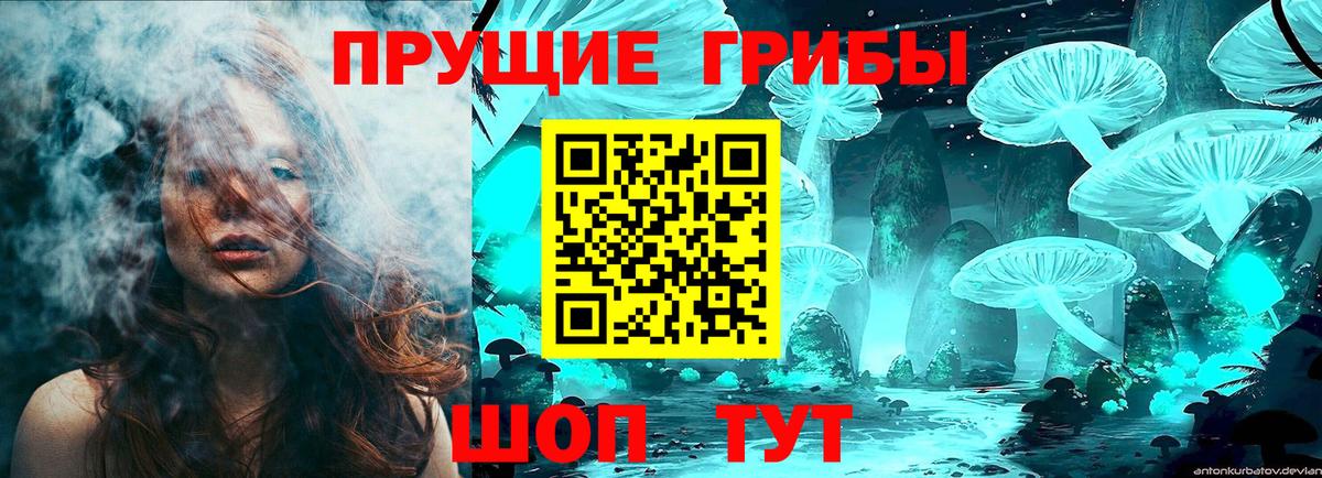 Галлюциногенные грибы Cubensis  Вход с VPN  Камышин  Галлюциногенные грибы ЛСД 